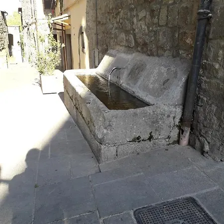 Pensieri E Parole * Vitorchiano